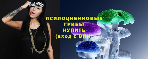 ПСИЛОЦИБИНОВЫЕ ГРИБЫ Одинцово