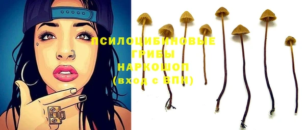 ПСИЛОЦИБИНОВЫЕ ГРИБЫ Одинцово